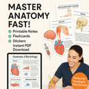 Master Anatomy Without the Overwhelm